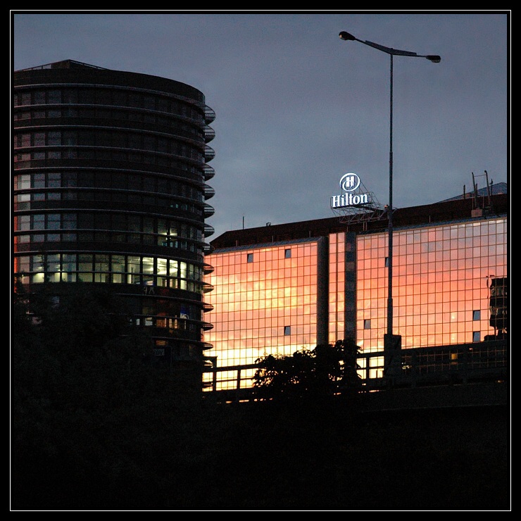 Hilton